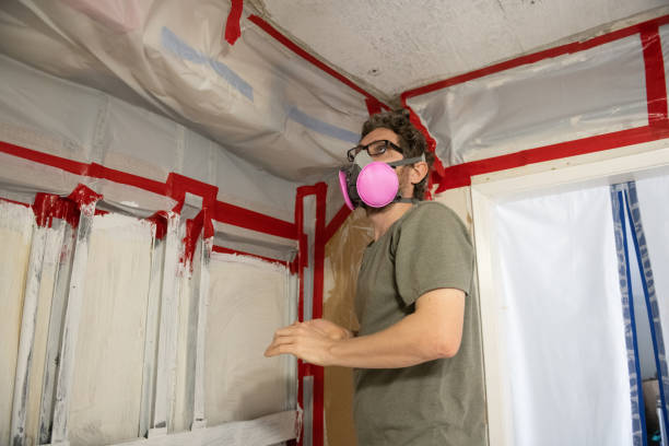Trusted Tidmore Bend, AL Mold Removal Experts