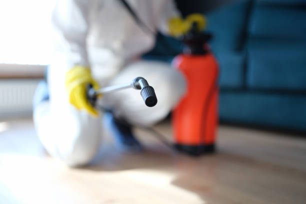 Best Commercial Mold Inspection  in Tidmore Bend, AL